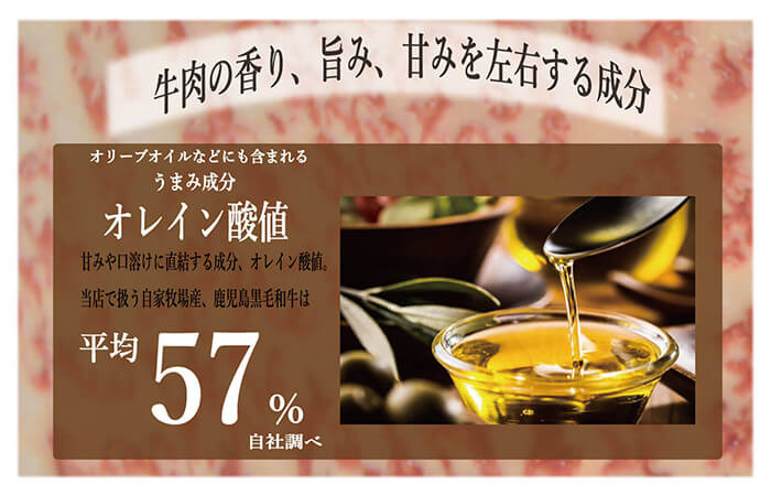 鹿å
å³¶ç黿¯åçããèãããã¯(600g) A4ççŽä»¥äž ç çè ããè ã¹ãè ããã㯠è ãããã¯è å¡ åœç£ ä¹å· ããŒãã·ãã¥ãŒ ããç
®èŸŒã¿ ãã«ãã£ãŒã€ããã¯ãããA-1821Hã