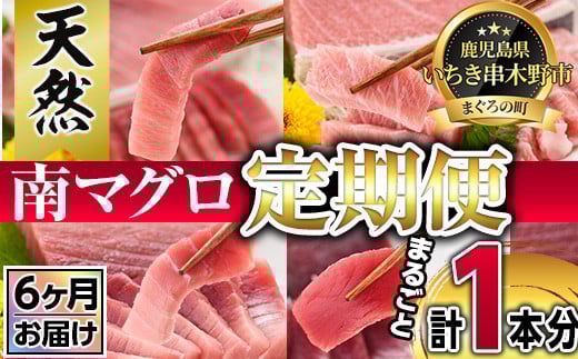 【定期便】南マグロ丸ごと1本(約4〜6kgセット×6ヶ月)！希少な南まぐろの刺身用柵(大トロ・上トロ・中トロ・赤身)を毎月お届け！まぐろ 鮪 南まぐろ 南マグロ 大とろ 中とろ 上とろ 魚介 刺し身 刺身 さしみ 海鮮丼 小分け 便利 冷凍 希少 新鮮【新洋水産】【G-011H】