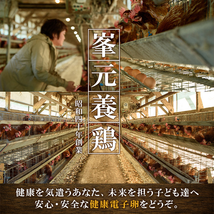 鹿児島県産！健康電子卵 初卵・白(計216個・54個入り×4枚) 国産 九州産 たまご タマゴ 玉子 生たまご 若鶏 若鳥 新鮮 鶏卵 小玉 パック 朝ごはん 卵かけごはん TKG おかず 卵焼き 割れ保障 安心 安全【峯元養鶏】【A-1828H】