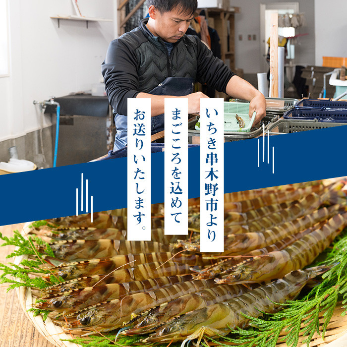 å·åã¯ã«ããšãèš1kg(25gÃ10å°ŸÃ4è¢) åœç£ ä¹å·ç£ 鹿å
å³¶ç£ éä» é æ¬ é°€ ã㪠ã¶ã ããã ã¯ãŸã¡ åºèº« ãåºèº« 海鮮䞌 挬ã䞌 ããªå€§æ ¹ ã¶ãããã¶ ããã¶ããã¶ é ãé ã«ã ãã€ã³ å身 å·åããã¬ã·ãã«ããC-183Hã