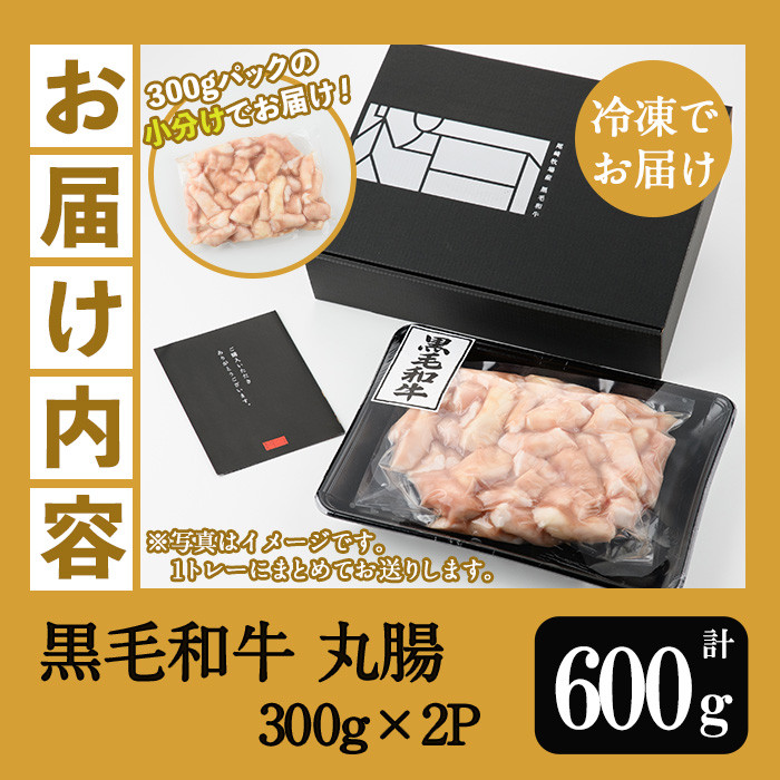 ≪小分けタイプ≫鹿児島県産黒毛和牛 丸腸 (計600g・300g×2P) 冷凍 まるちょう ホルモン もつ鍋 焼肉 牛肉 肉 もつ モツ 内臓 国産牛 黒毛和牛 モツ鍋 もつなべ 九州 国産 小分け こわけ 便利 ギフト【バクロ】【A-1739H】