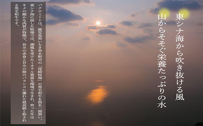 ＜2026年お中元ギフト＞鹿児島県産黒毛和牛スネ肉角切り(600g) 国産 鹿児島県産 牛肉 すね肉 スネ肉 角切り 煮込み カレー シチュー 冷凍 贈答品 ギフト【バクロ】【00-030-07-R8OC】