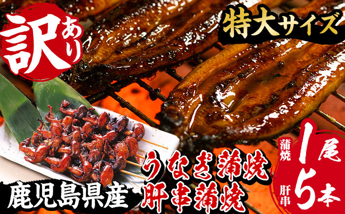 ＜訳あり・規格外＞国産うなぎ(鹿児島県産うなぎ)蒲焼(特大サイズ1尾・約190g超)と肝串蒲焼(5本×1P) タレ付き 国産 国産魚 九州産 鹿児島県産 魚 魚介 鰻 うなぎ ウナギ 蒲焼 蒲焼き 惣菜 冷凍 串 肝 内臓 真空包装 簡易包装 贈答品 ギフト【南竹鰻加工】【A-2049H】