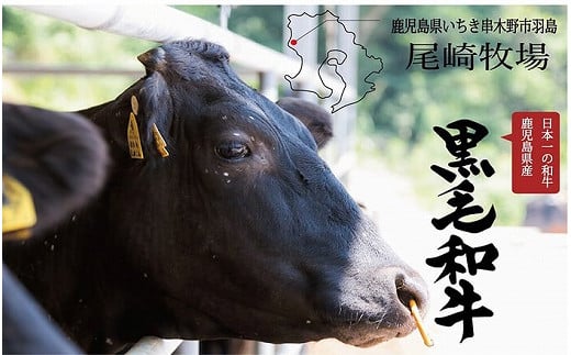 鹿児島県産黒毛和牛使用！もつ鍋セット(2〜3人前)「贅の味噌」スープ(750g)と黒毛和牛小腸(300g)！しょうちょう ホルモン もつ鍋 鍋 お鍋 冷凍 牛肉 肉 もつ モツ 内臓 国産牛 国産 九州産 モツ鍋 もつなべ ギフト 黒毛和牛【バクロ】【A-556H】