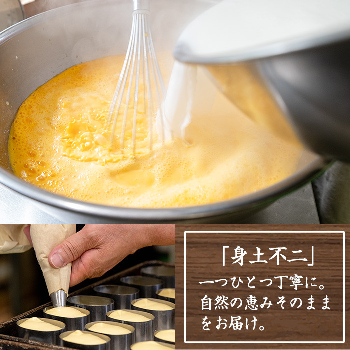 チルドスイーツ詰め合わせセット(2種・計14個入) 生クリーム どら焼き チーズタルト 洋菓子 和菓子 ギフト プレゼント 贈答 スイーツ 菓子 冷凍 焼き菓子 お菓子【菓子処 菊屋】【A-1432H】