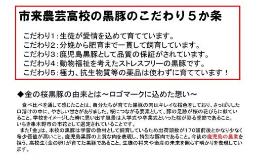 ≪ESSE金賞≫市来農芸高校産 黒豚しゃぶしゃぶ(バラ・600g)地元の高校生が育てた「金の桜黒豚」！豚 豚肉 肉 鹿児島 国産 黒豚 豚バラ バラ肉 豚バラスライス しゃぶしゃぶ 冷凍 2023 ESSE グランプリ 受賞【エーエフ企画】【A-586H】
