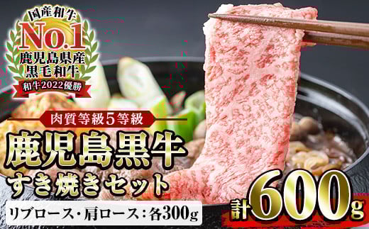鹿児島黒牛すき焼きセット(5等級)リブロース300g・肩ロース300g(計600g)【JAさつま日置農業協同組合】【C-82H】