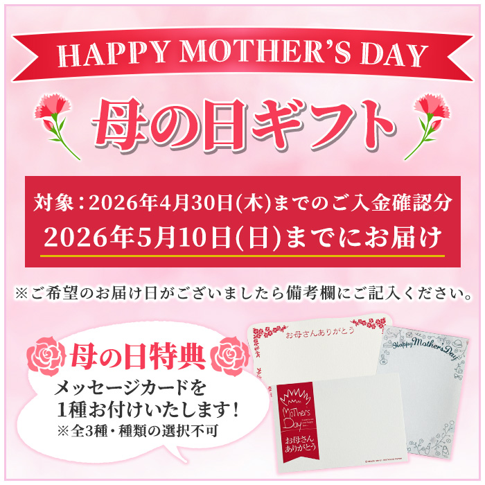 ＜2026年 母の日ギフト＞チョコレンガセット(3種) チョコ ケーキ お菓子 鹿児島 お菓子 洋菓子 スイーツ チョコレート ケーキ クッキー 季節限定 詰合せ 食べ比べ 冷凍 贈り物 贈答用 ギフト プレゼント 母の日 メッセージカード付 【モン・シェリー松下】【MDA-002H】