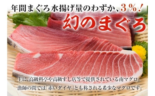 南マグロ極みセット！大とろ・上とろ・中とろの鮪の刺身用柵(計約600g) まぐろ 鮪 南まぐろ 南マグロ 大とろ 中とろ 上とろ 魚介 刺し身 刺身 刺身用 さしみ サク 海鮮丼 小分け 便利 冷凍 希少 新鮮【新洋水産】【E-073H】