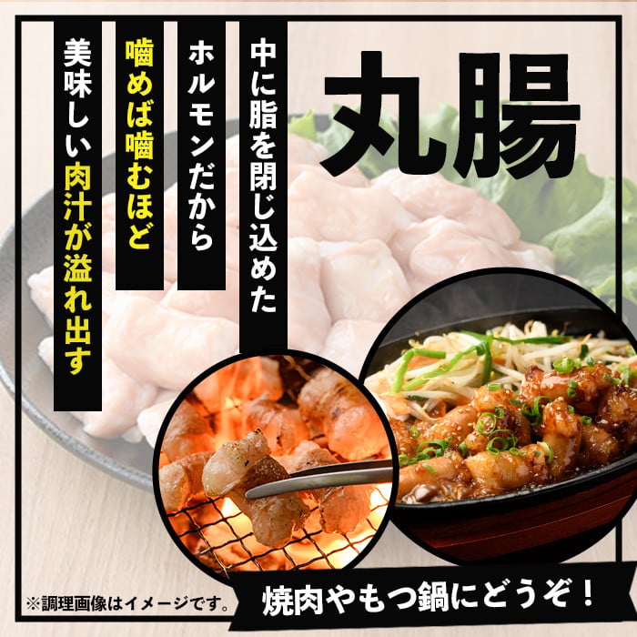 ＜2026年お中元ギフト＞鹿児島県産黒毛和牛 丸腸(300g×2P・計600g)！牛肉 肉 国産 牛 まるちょう ホルモン もつ鍋 鍋 モツ 内臓 小分け 焼き肉 焼肉用 贈答品 ギフト【バクロ】【00-030-26-R8OC】