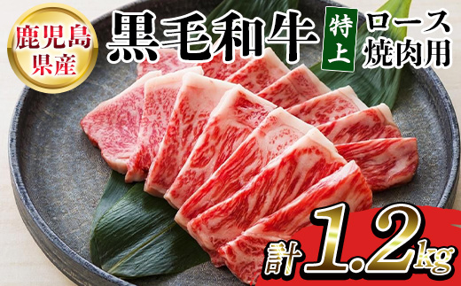鹿児島県産黒毛和牛 特上ロース焼肉 (計1.2kg) 牛肉 肉 黒毛和牛 国産 国産牛 九州 鹿児島 鹿児島県産 ロース ロース肉 焼肉 焼き肉 冷凍 ギフト【バクロ】【00-030-33】