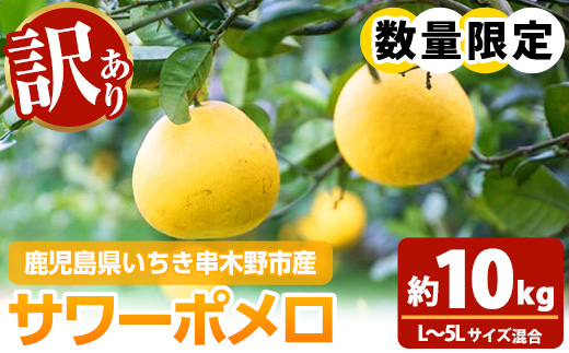 《訳あり》池之上果樹園のサワーポメロ(約10kg・20～25玉) 国産 鹿児島県産 果物 柑橘 サワーポメロ 大橘 文旦 パール柑 土佐文旦 水晶文旦 晩柑 旬 フルーツ 果実 冬季 常温 常温配送 訳アリ 産地直送 農家直送 期間限定 数量限定 バラ詰め【池之上果樹園】【A-2076H】