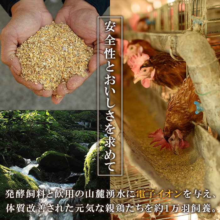 鹿児島県産！健康電子卵 初卵・白(計216個・54個入り×4枚) 国産 九州産 たまご タマゴ 玉子 生たまご 若鶏 若鳥 新鮮 鶏卵 小玉 パック 朝ごはん 卵かけごはん TKG おかず 卵焼き 割れ保障 安心 安全【峯元養鶏】【A-1828H】