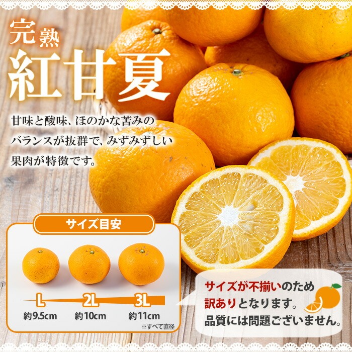 《訳あり》完熟 紅甘夏 L～3Lサイズ (約5kg) 国産 鹿児島県産 果物 柑橘 みかん ミカン 蜜柑 紅甘夏 旬 フルーツ 果実 訳アリ サイズ不揃い 冬季 常温 常温配送 箱 箱詰め 満杯 バラ詰め 【池之上果樹園】【A-1887H】