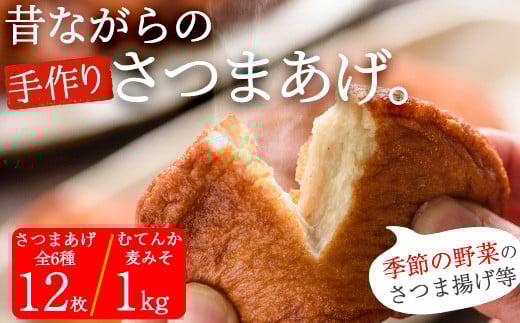 さつま揚げの本場串木野産！寺田屋 特プレミアムセット(むてんか味噌1kgと棒天や上揚に旬のお野菜天など12枚以上) さつまあげ さつま揚げ さつま揚 薩摩揚げ 詰め合わせ 鹿児島 串木野 つけあげ つけ揚げ 食べ比べ 郷土料理 贈答 【寺田屋】【A-1693H】