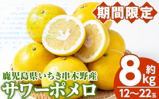 ＜先行予約受付中！＞《期間・数量限定》サワーポメロ (約8kg・12〜22玉) 国産 鹿児島県産 果物 柑橘 サワーポメロ 大橘 文旦 パール柑 土佐文旦 旬 フルーツ 果実 冬季 常温 箱 【磯部農園】【A-1846H】