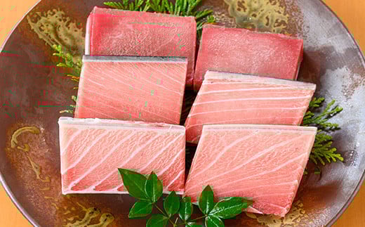 ããã¬ãã¢ã ãæ¥µäžå€©ç¶åãŸãããã«ã»ãã 鮮床æçŸ€ã®åãŸãã倧ããã»äžããã»èµ€èº«ã®6æµ(åèšçŽ600g) ãã°ã 鮪 éä» æµ·é®® åãã°ã ãã ãæµ·é®®ãŸããå®¶ããC-227Hã