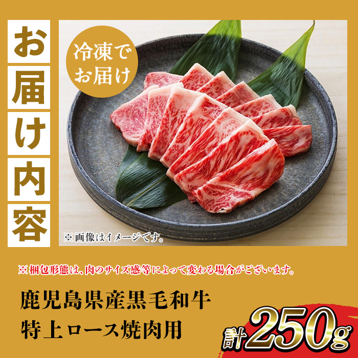 鮖ソ蜈仙ウカ逵檎肇鮟呈ッ帛柱迚 迚ケ荳翫Ο繝シ繧ケ辟シ閧 (險250g) 迚幄i 閧 鮟呈ッ帛柱迚 蝗ス逕」 蝗ス逕」迚 荵晏キ 鮖ソ蜈仙ウカ 鮖ソ蜈仙ウカ逵檎肇 繝ュ繝シ繧ケ 繝ュ繝シ繧ケ閧 辟シ閧 辟シ縺崎i 蜀キ蜃 繧ョ繝輔ヨ縲舌ヰ繧ッ繝ュ縲代00-030-30縲