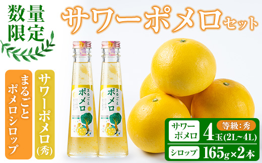 ＜先行予約受付中！2026年2月中旬頃より順次発送予定＞サワーポメロ＜等級：秀＞(4玉・2L～4L)とまるごとポメロシロップ(165g×2本)セット！鹿児島県産 サワーポメロ 大橘 柑橘 文旦 パール柑 フルーツ 果物 みかん 常温 旬 シロップ 果汁 果実【西果樹園】【A-1967H】