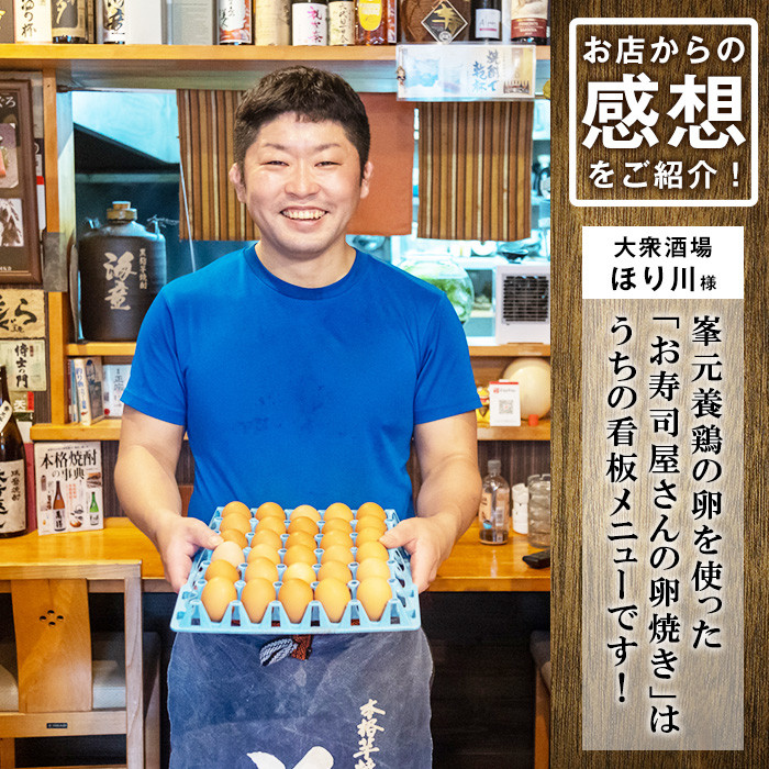 《定期便・全6回》鹿児島県産！健康電子卵(計360個・10個入り×6P×6回) 国産 九州産 たまご タマゴ 玉子 生たまご 親鳥 親鶏 新鮮 鶏卵 常温 毎月 連続 小分け パック 朝ごはん おかず 割れ保障 安心 安全【峯元養鶏】【E-115H】