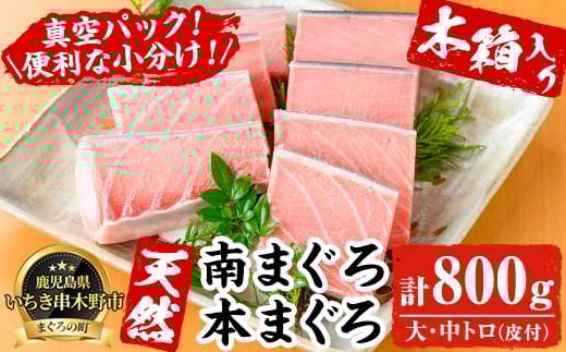 《木箱入り》究極の天然高級南マグロ・本マグロ (大トロ・中トロ)セット(各約200g・合計800g超) まぐろ 鮪 本まぐろ 南まぐろ 魚介 海鮮 ギフト【海鮮まぐろ家】【E-125H】