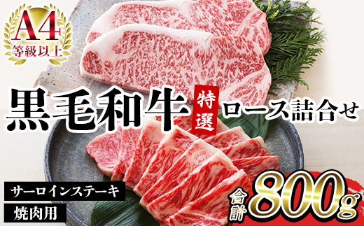 鹿児島県産黒毛和牛 ＜A4等級以上＞サーロインステーキ・特選ロース焼肉用 (2種・合計800g) 牛肉 肉 黒毛和牛 国産 国産牛 九州 鹿児島 鹿児島県産 サーロイン ステーキ ロース ロース肉 焼肉 焼き肉 A4等級以上 冷凍 ギフト【バクロ】【00-030-35】