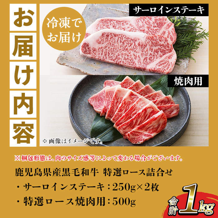 鹿児島県産黒毛和牛 ＜A4等級以上＞サーロインステーキ・特選ロース焼肉用 (2種・合計1kg) 牛肉 肉 黒毛和牛 国産 国産牛 九州 鹿児島 鹿児島県産 サーロイン ステーキ ロース ロース肉 焼肉 焼き肉 A4等級以上 冷凍 ギフト【バクロ】【00-030-36】