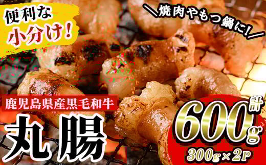 ≪小分けタイプ≫鹿児島県産黒毛和牛 丸腸 (計600g・300g×2P) 冷凍 まるちょう ホルモン もつ鍋 焼肉 牛肉 肉 もつ モツ 内臓 国産牛 黒毛和牛 モツ鍋 もつなべ 九州 国産 小分け こわけ 便利 ギフト【バクロ】【A-1739H】
