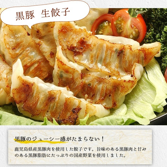 鹿児島黒豚の生餃子(生姜風味)(12個×12P・合計144個) たれ付き！おろし生姜  豚 国産 野菜 ぎょうざ ギョウザ 惣菜 冷凍 おかず 弁当 小分け【鹿児島協同食品】【A-1866H】
