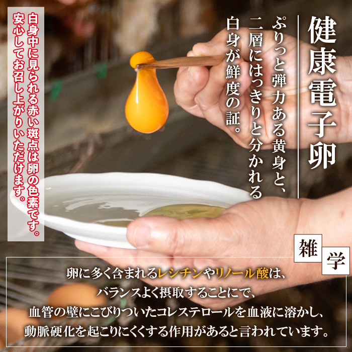 ≪定期便・全6回≫鹿児島県産！健康電子卵・初卵(赤卵のみ)(計648個・54個×2枚×6回) 国産 九州産 たまご タマゴ 玉子 生たまご 若鶏 若鳥 新鮮 鶏卵 赤卵 常温 定期 連続 小玉 パック 朝ごはん おかず 卵焼き 割れ保障 安心 安全【峯元養鶏】【E-116H】
