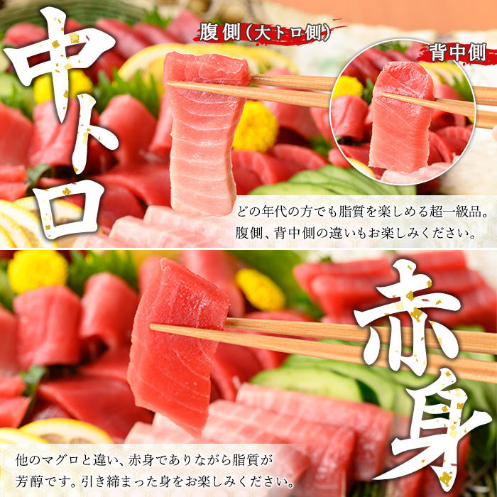 螟ゥ辟カ譛ャ縺セ縺舌m 荳ュ繝医Ο繝サ襍、霄ォ(蜷郁ィ400g繝サ100gテ怜推2譟オ) 100g譟オ縺ァ縺雁ア翫¢シ√∪縺舌m 魄ェ 繝槭げ繝ュ 鬲壻サ 蛻コ縺苓コォ 蛻コ霄ォ 縺輔@縺ソ 豬キ魄ョ荳シ 譛ャ縺セ縺舌m 譛ャ繝槭げ繝ュ 荳ュ繝医Ο 襍、霄ォ 蟆丞縺 萓ソ蛻ゥ 蜀キ蜃 逵溽ゥコ繝代ャ繧ッ 譁ー魄ョ縲先オキ魄ョ縺セ縺舌m螳カ縲代殖-392H縲