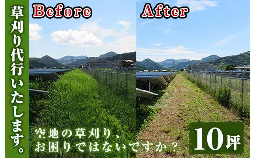 空地の草刈り代行サービス 10坪単位【ひなた】【A-855H】