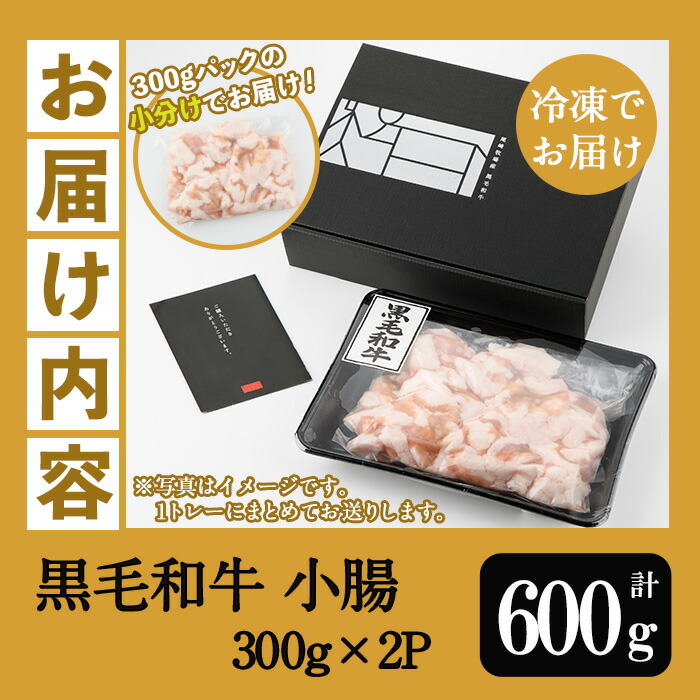 ＜2026年お中元ギフト＞鹿児島県産黒毛和牛 小腸(300g×2P・計600g) しょうちょう ホルモン もつ鍋 焼肉 鍋 焼肉用 焼き肉 バーベキュー 冷凍 牛肉 肉 もつ モツ 内臓 国産牛 モツ鍋 もつなべ 小分け 九州 国産 贈答品 ギフト【バクロ】【00-030-27-R8OC】