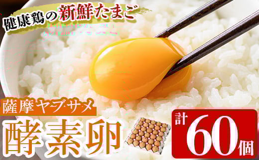 薩摩ヤブサメ酵素卵(60個) 国産 鹿児島県産 たまご 卵 玉子 タマゴ 鶏卵 オムレツ 卵かけご飯 朝食 料理 人気 たまご焼き【ヤブサメファーム】【A-781H】