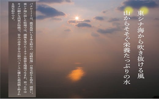 鹿児島県産黒毛和牛切り落とし(約600g) A4等級以上 肉 国産 牛 切り落とし 九州 黒毛和牛 和牛 牛肉 牛丼 肉じゃが【バクロ】【A-1553H】