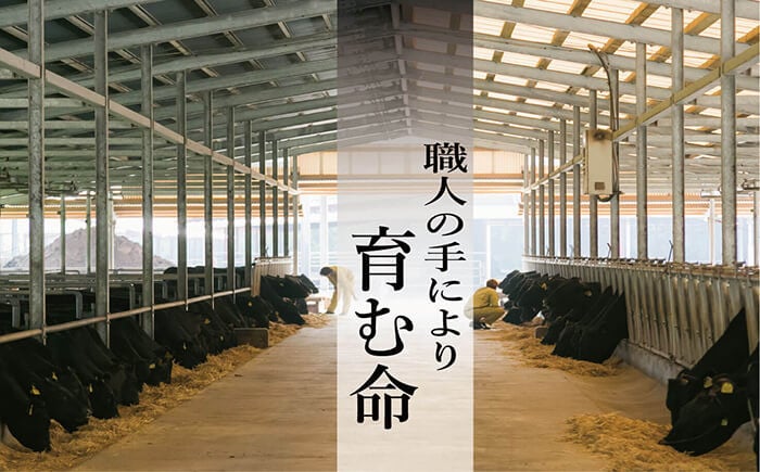 ＜2026年お中元ギフト＞鹿児島県産黒毛和牛スネ肉角切り(600g) 国産 鹿児島県産 牛肉 すね肉 スネ肉 角切り 煮込み カレー シチュー 冷凍 贈答品 ギフト【バクロ】【00-030-07-R8OC】