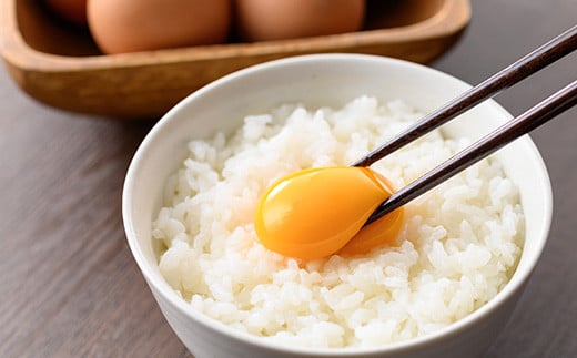 薩摩ヤブサメ酵素卵(60個) 国産 鹿児島県産 たまご 卵 玉子 タマゴ 鶏卵 オムレツ 卵かけご飯 朝食 料理 人気 たまご焼き【ヤブサメファーム】【A-781H】