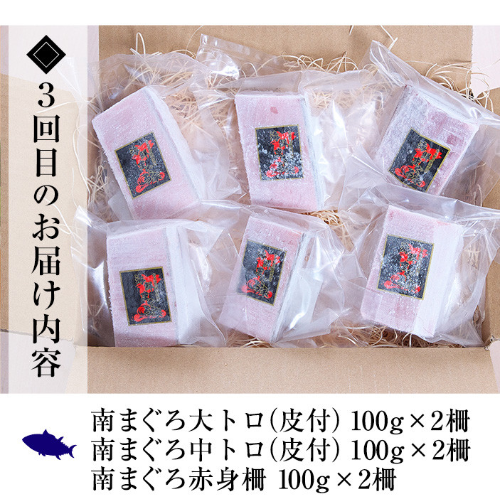 シ懷ョ壽悄萓ソ繝サ蜈ィ3蝗(豈取怦)シ樊・オ荳雁、ゥ辟カ蜊励∪縺舌m繧サ繝繝茨シ∝、ァ繝医Ο繝サ荳ュ繝医Ο繝サ襍、霄ォ繝サ繝阪ぐ繝医Ο(邱城1.4kg)縺セ縺舌m 魄ェ 蛻コ霄ォ 豬キ魄ョ荳シ 豬キ魄ョ 鬲壻サ 繧ソ繧ソ繧ュ 縺輔°縺ェ 譟オ 蜊励槭げ繝ュ縲先オキ魄ョ縺セ縺舌m螳カ縲代職-164H縲