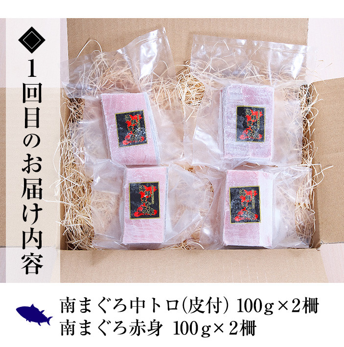 シ懷ョ壽悄萓ソ繝サ蜈ィ3蝗(豈取怦)シ樊・オ荳雁、ゥ辟カ蜊励∪縺舌m繧サ繝繝茨シ∝、ァ繝医Ο繝サ荳ュ繝医Ο繝サ襍、霄ォ繝サ繝阪ぐ繝医Ο(邱城1.4kg)縺セ縺舌m 魄ェ 蛻コ霄ォ 豬キ魄ョ荳シ 豬キ魄ョ 鬲壻サ 繧ソ繧ソ繧ュ 縺輔°縺ェ 譟オ 蜊励槭げ繝ュ縲先オキ魄ョ縺セ縺舌m螳カ縲代職-164H縲