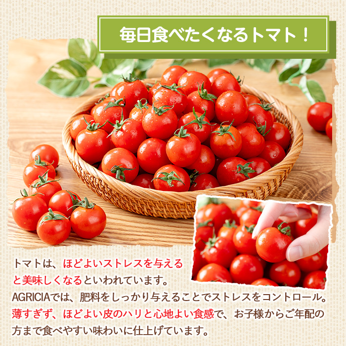 12/21ãŸã§å¹Žå
é
éïŒãæééå®ãããããã (4kg) åœç£ 鹿å
å³¶çç£ ããã ããããã éè ããã çéè æ°é®® ææ¡ã ææ¡ã æ¬ æééå® ãµã©ã ãåŒåœ 幎å
é
é 幎å
çºé ã(æ ª)AGRICIAããA-2023Hã