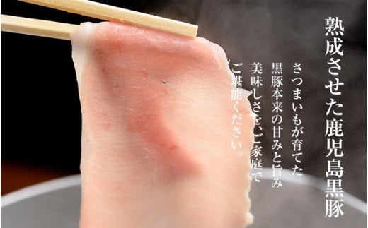 鹿児島県産黒豚しゃぶしゃぶ・黒豚ロース(1kg・500g×2P)豚 豚肉 肉 鹿児島 国産 黒豚 豚ロース ロース 豚ローススライス しゃぶしゃぶ 冷凍【エーエフ企画】【A-1479H】