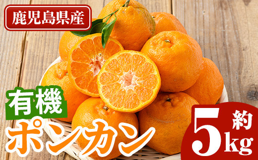 ＜先行予約受付中＞《期間・数量限定》有機ポンカン(約5kg・化粧箱入り) 国産 九州産 鹿児島県産 蜜柑 みかん ミカン 柑橘 果物 果実 フルーツ ぽんかん ポンカン 数量限定 期間限定 【大久保農園】【A-2047H】