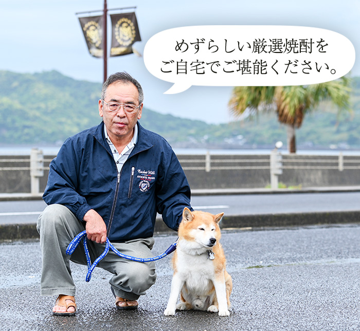 【鹿児島限定】プレミアム芋焼酎 羽島 2升(1800ml×2本) 芋焼酎 黒麹 無濾過 お湯割り 水割り ロック 常温 常温発送 一升瓶 1800ml 【福永酒店】【00-043-05】