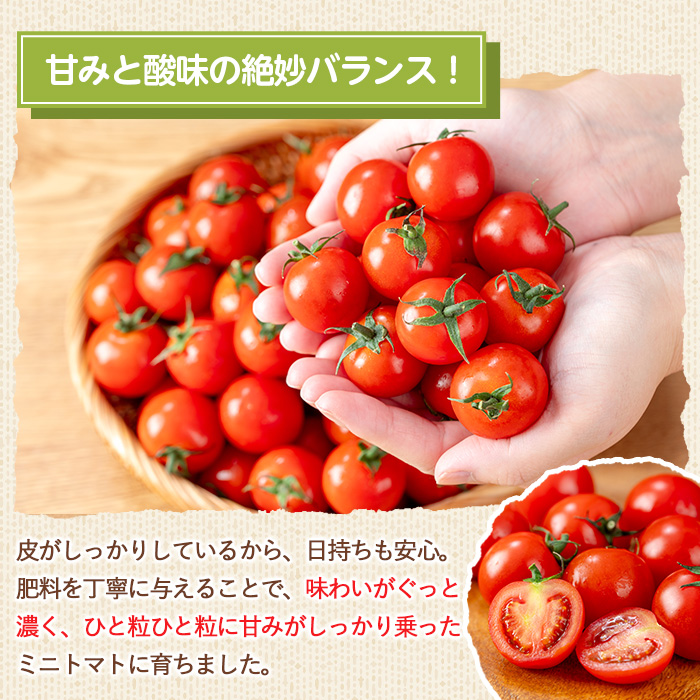 12/21ãŸã§å¹Žå
é
éïŒãæééå®ãããããã (4kg) åœç£ 鹿å
å³¶çç£ ããã ããããã éè ããã çéè æ°é®® ææ¡ã ææ¡ã æ¬ æééå® ãµã©ã ãåŒåœ 幎å
é
é 幎å
çºé ã(æ ª)AGRICIAããA-2023Hã