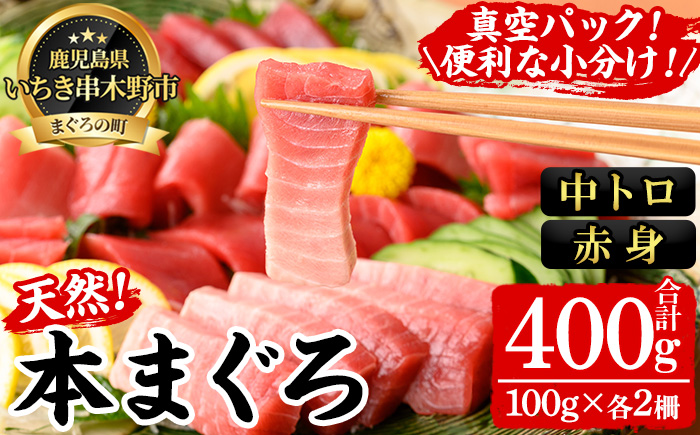 天然本まぐろ 中トロ・赤身(合計400g・100g×各2柵) 100g柵でお届け！まぐろ 鮪 マグロ 魚介 刺し身 刺身 さしみ 海鮮丼 本まぐろ 本マグロ 中トロ 赤身 小分け 便利 冷凍 真空パック 新鮮【海鮮まぐろ家】【B-392H】