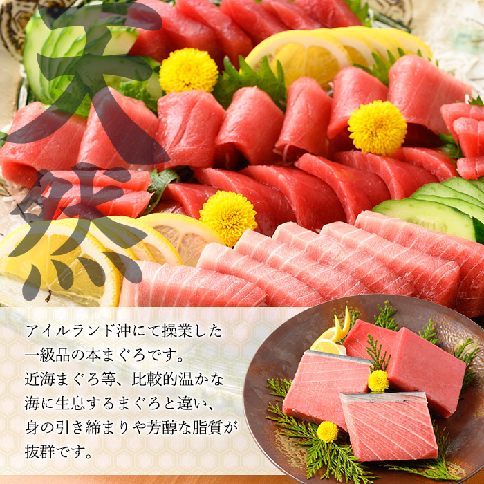 螟ゥ辟カ譛ャ縺セ縺舌m 荳ュ繝医Ο繝サ襍、霄ォ(蜷郁ィ400g繝サ100gテ怜推2譟オ) 100g譟オ縺ァ縺雁ア翫¢シ√∪縺舌m 魄ェ 繝槭げ繝ュ 鬲壻サ 蛻コ縺苓コォ 蛻コ霄ォ 縺輔@縺ソ 豬キ魄ョ荳シ 譛ャ縺セ縺舌m 譛ャ繝槭げ繝ュ 荳ュ繝医Ο 襍、霄ォ 蟆丞縺 萓ソ蛻ゥ 蜀キ蜃 逵溽ゥコ繝代ャ繧ッ 譁ー魄ョ縲先オキ魄ョ縺セ縺舌m螳カ縲代殖-392H縲