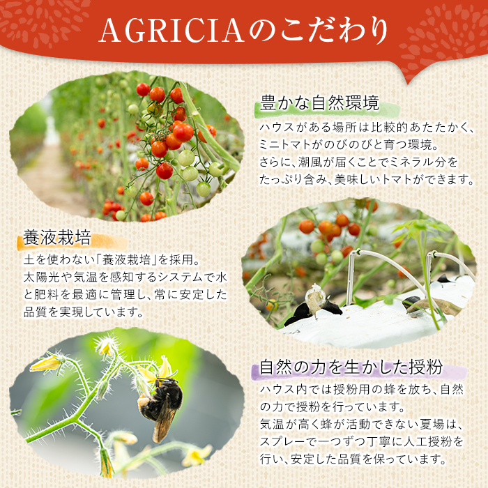 12/21ãŸã§å¹Žå
é
éïŒãæééå®ãããããã (4kg) åœç£ 鹿å
å³¶çç£ ããã ããããã éè ããã çéè æ°é®® ææ¡ã ææ¡ã æ¬ æééå® ãµã©ã ãåŒåœ 幎å
é
é 幎å
çºé ã(æ ª)AGRICIAããA-2023Hã