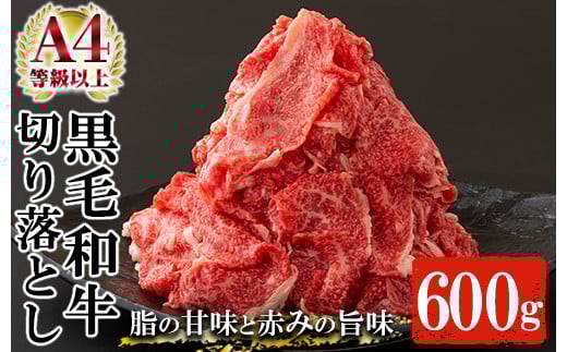 鹿児島県産黒毛和牛切り落とし(約600g) A4等級以上 肉 国産 牛 切り落とし 九州 黒毛和牛 和牛 牛肉 牛丼 肉じゃが【バクロ】【A-1553H】