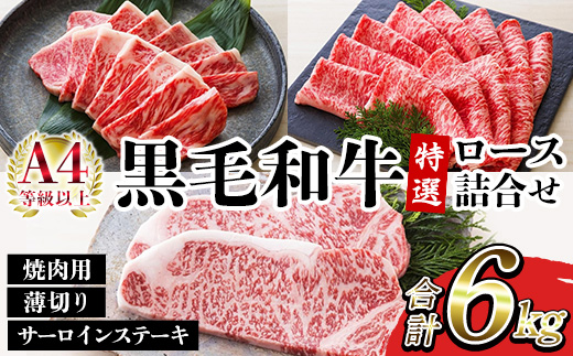 鹿児島県産黒毛和牛 ＜A4等級以上＞サーロインステーキ・特選ロース焼肉用/薄切り (3種・合計6kg) 牛肉 黒毛和牛 国産 九州 鹿児島県産 サーロイン ステーキ ロース 焼肉 焼き肉 すき焼き しゃぶしゃぶ A4等級以上 冷凍 ギフト【バクロ】【00-030-39】