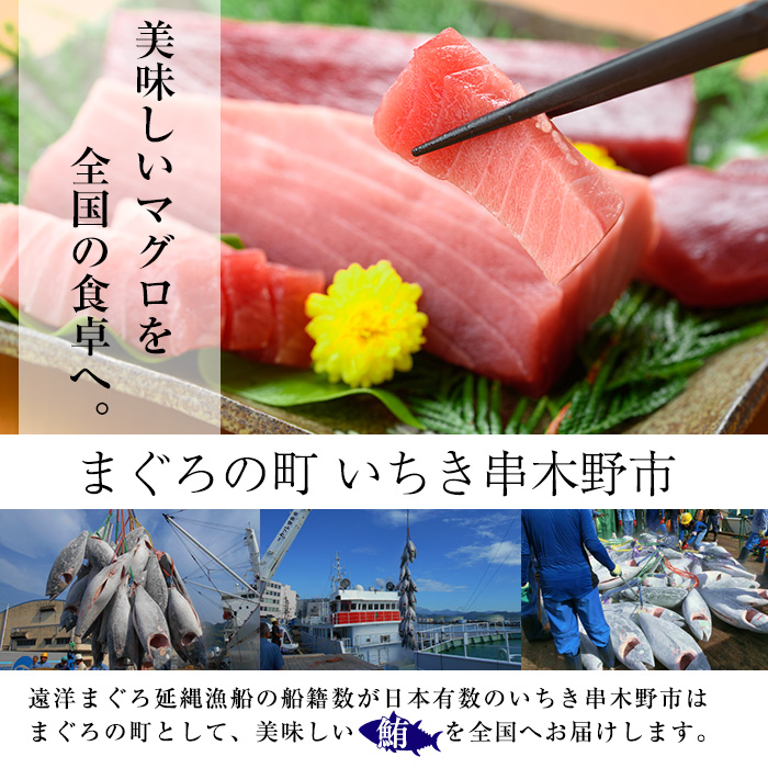＜2026年お中元ギフト＞《ちょこっとプレミアム》天然本まぐろフルセット(計300g) 100g柵でお届け！肉厚のお刺身や海鮮丼に！まぐろ 鮪 魚介 刺し身 刺身 さしみ 海鮮丼 本マグロ 小分け 便利 冷凍 新鮮【海鮮まぐろ家】【00-041-10-R8OC】